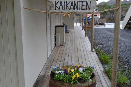 Kaikanten Rorbuer Sennesvik ภายนอก รูปภาพ