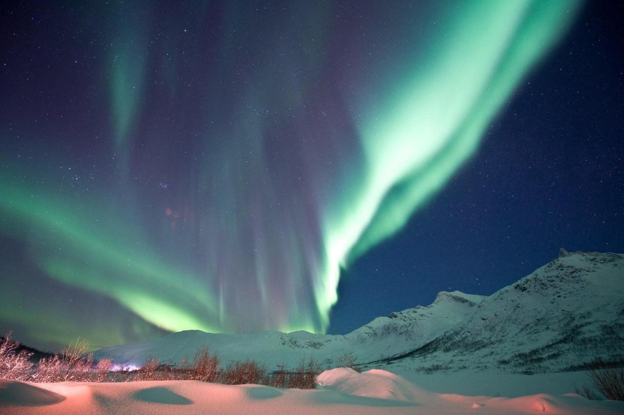 Kaikanten Rorbuer Sennesvik ภายนอก รูปภาพ
